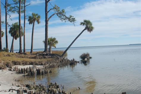 Apalachicola Bay Coast Saint George Island Quiet Beach Apalachicola