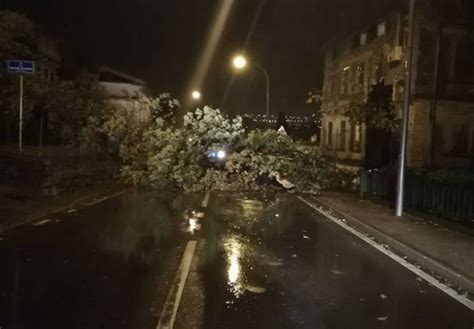 Ulice oko riječke tržnice potpuno pod vodom srušeno stablo blokiralo