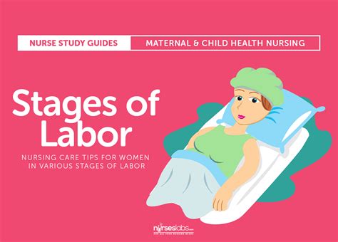 Stages Of Labor Diagram