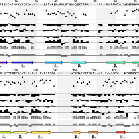 Amino Acid Sequence Of Elongation Factor P Ef P From Staphylococcus Download Scientific