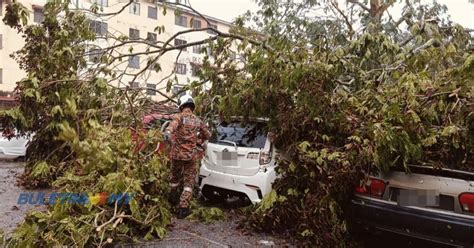 Video Dua Myvi Sebuah Wira Rosak Dihempap Pokok Tumbang Buletin