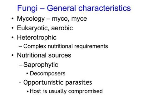 Fungi â General characteristics