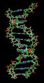 Nucleic Acids The Evolution And Biology Of Sex