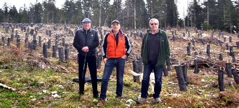 Plateau d Hauteville Gestion des forêts entre lONF et le conseil