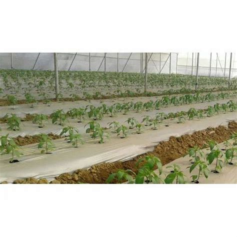 Plastic Mulching Film At Best Price In Durgapur By Green View Agro Tech