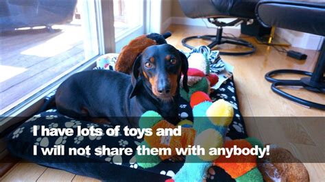 I Dont Share My Toys