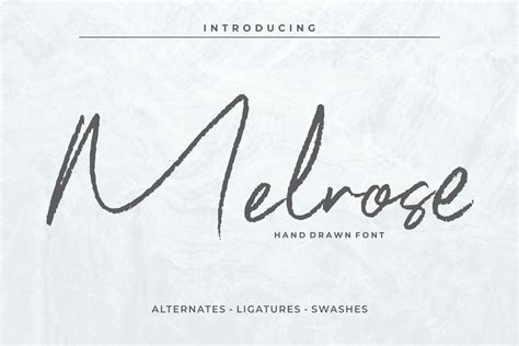 Melrose - Signature Script Font - Design Cuts