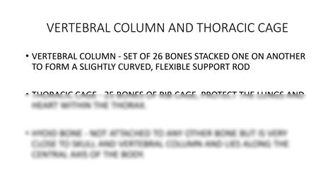 Solution Hyegpvku Lab Exercise Vertebral Column And Thoracic Cage