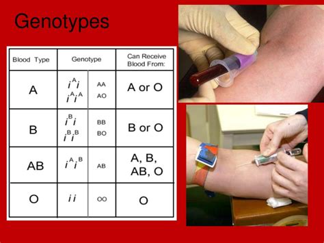 Ppt Blood Powerpoint Presentation Free Download Id3787200