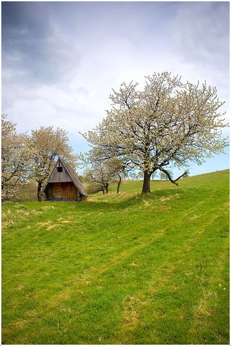 Spring house by mjagiellicz on DeviantArt