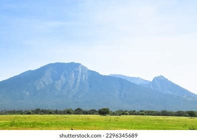 Baluran National Park Safari Indonesia Located Stock Photo 2296345689 | Shutterstock