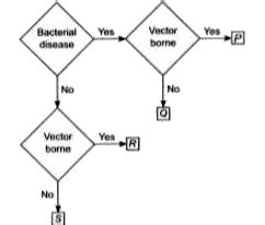 Doubt Solutions Maths Science Cbse Ncert Iit Jee Neet