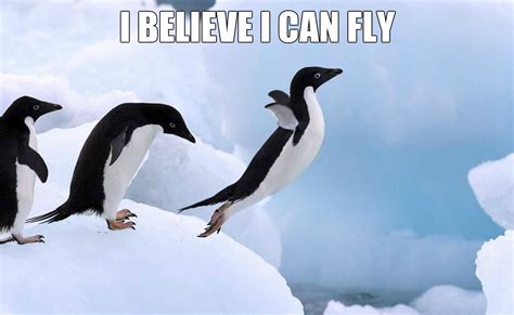 Funny Penguin Quotes. QuotesGram