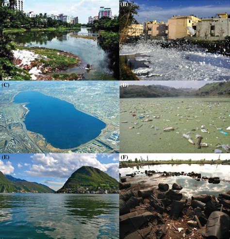 Lakes suffering heavy pollution by anthropogenic activities around the ...