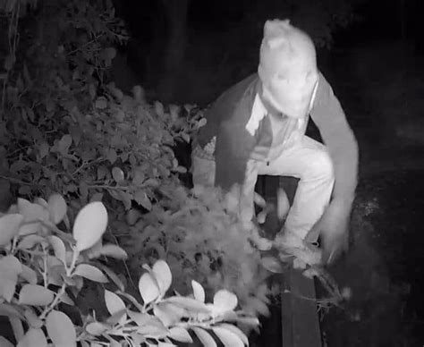 Decline in home burglaries: A closer look at Western Cape's crime