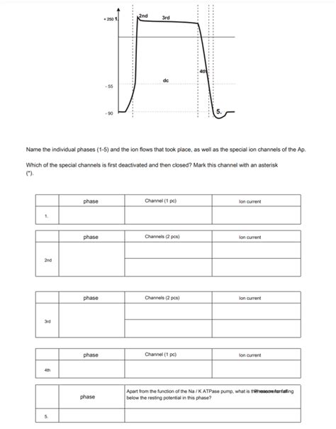 Physio Midterm 2 Figure Analysis Course Of Action Potential Diagram