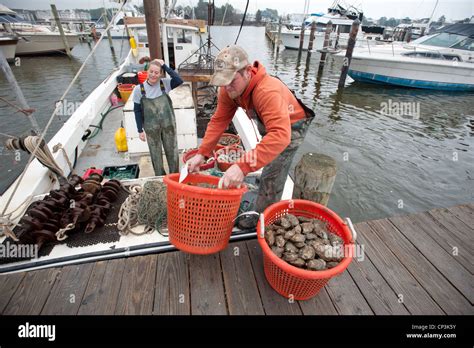 Young Watermen Couple On Dock After Tonging For Oysters At The Mouth Of The Patuxent River On