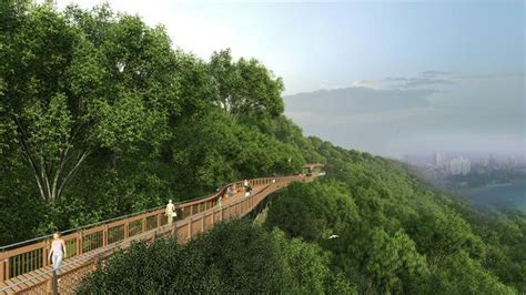 A Look At The Upcoming Forest Trail At Mumbais Malabar Hill The Hindu