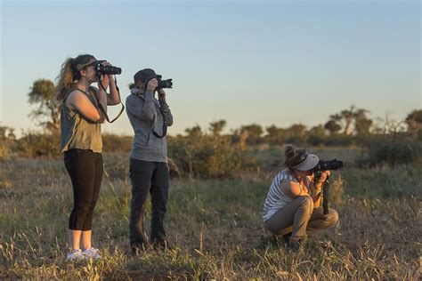 Wildlife Photography Course Is Best Course After 12th For Future