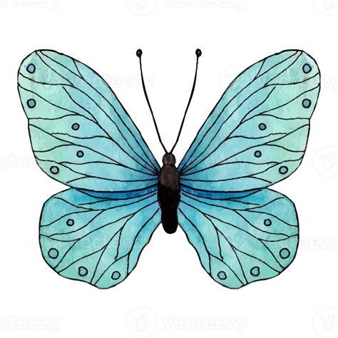 Watercolor Butterfly Clip art Element Transparent Background 24628956 PNG