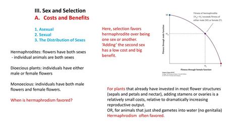 Iii Sex And Selection Costs And Benefits 1 Asexual Ppt Download