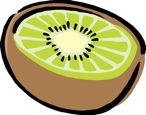 Kiwi Bird Animation - ClipArt Best