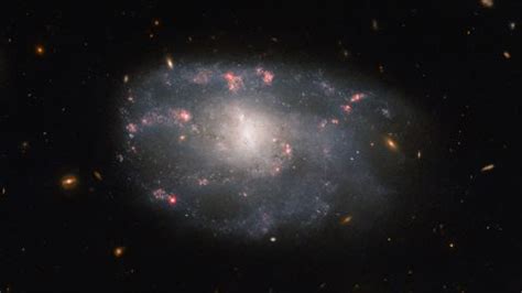 Hubble Space Telescope spies 'irregular' spiral galaxy in Ursa Major ...