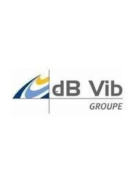 Dbvib GROUPE