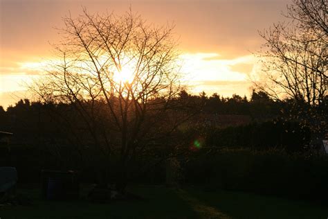 Wallpaper Sunlight Landscape Sunset Nature Sky Branch Sunrise