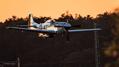 Gallery Flying Legends P Mustang Frances Dell