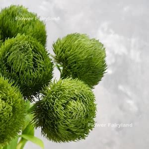 Real Touch Dianthus Green Ball Bouquet Dianthus Green Ball Stem High ...