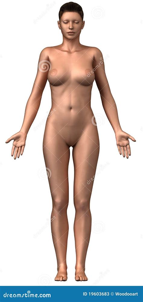 Naked Woman Isolated Frontal View Stock Illustration Illustration Of