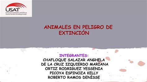 Animales en extinción PPT