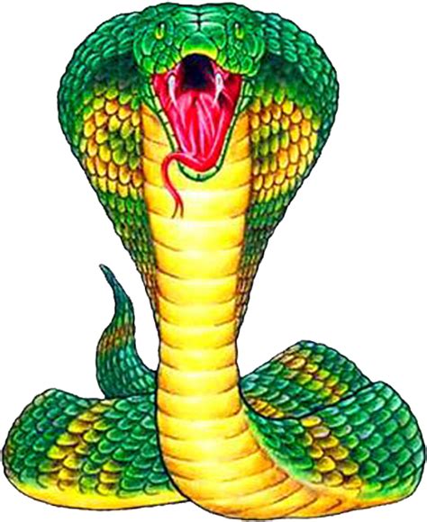 Green Cobra Snake Reptile Free Png