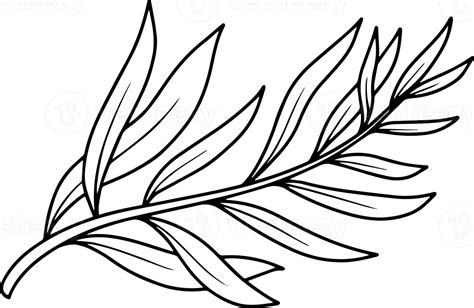 Leaf Sketch Line Art Illustration 10864097 PNG