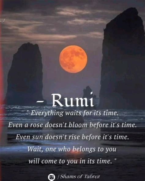 230 beautiful rumi quotes on love life friendship sufi poetry – Artofit