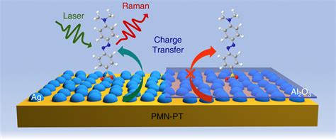 Enhancing SERS Activity With A Pyroelectric Induced Charge Transfer