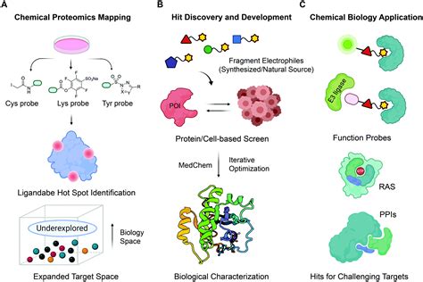 Fragment Based Covalent Ligand Discovery Rsc Chemical Biology Rsc