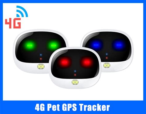 What Features Should a Best Pet Gps Tracker Have? – ChinaGPSTracker.com