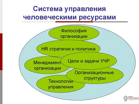 Управление человеческими ресурсами - презентация онлайн