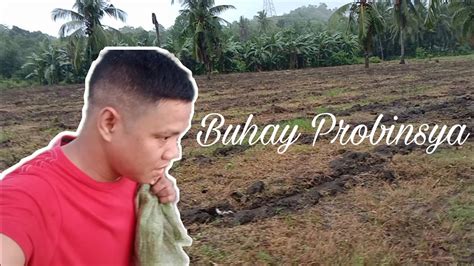 Buhay Probinsya My Daily Routine Sa Bukid Sep