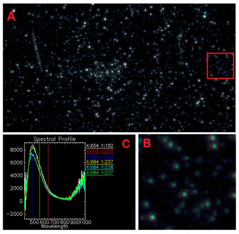 Image Recorded By Enhanced Dark Field Microscopy Using Cytoviva A