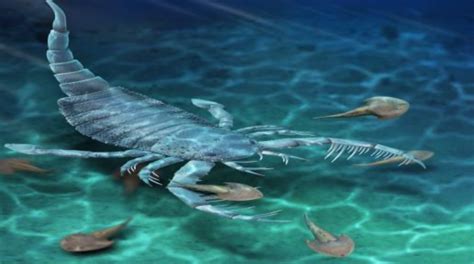 First Giant Sea Scorpion Fossil Of Silurian Period Found In China The