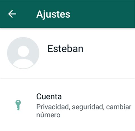 Whatsapp C Mo Dejar La Casilla Del Nombre Del Perfil De Whatsapp En