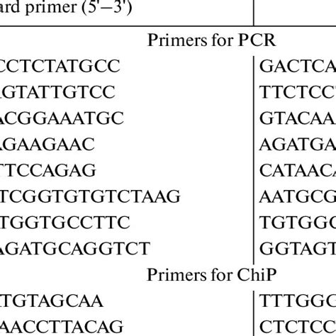 Primer Sequences For Rt Pcr Real Time Pcr And Chromatin Download Scientific Diagram