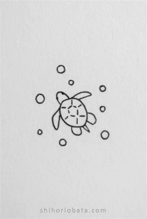 Easy Cute Turtle Drawing