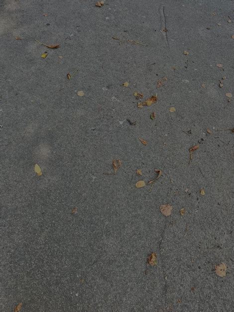 Premium Photo Dry Yellow Autumn Leaves Lie On The Ground