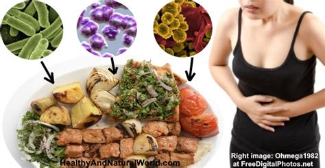 Cdc Viral Gastroenteritis Diet - downloadsposts