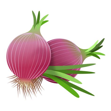 Plant Onion Shallot Png Clipart Royalty Free Svg Png