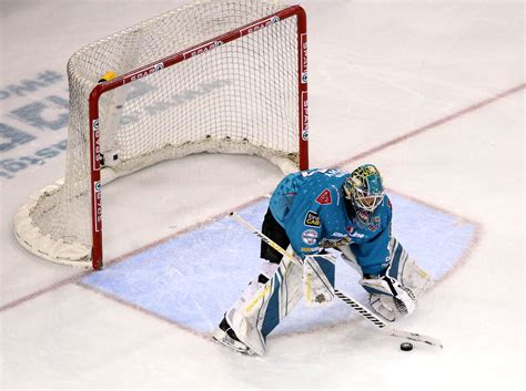 Top 7: Goalies of the EIHL | EIHL